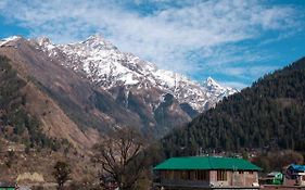 Bella View Hostel, Pulga